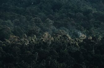 crypto valley airdrop3