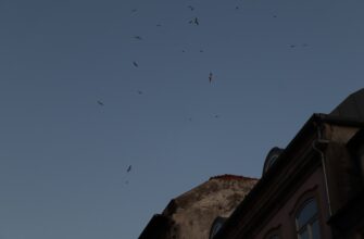 kriptovaljuta bat2