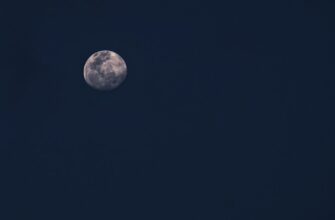 kriptovaljuta moon2