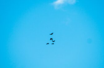 airdrop crypto la gi4