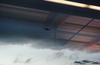 airdrop kripta jeto3