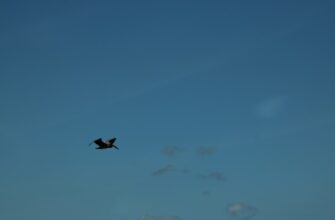 airdrop kriptovaljuty2