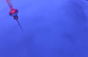 bombie airdrop crypto3