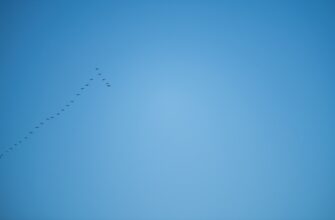crypto airdrop events3