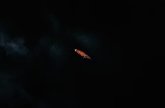 kak platit airdrop dohod v kazahstane dlja novichkov