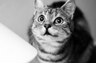 kak sdelat rezervnuju kopiju metamask bezopasno nizkaja stoimost