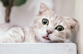 kak vosstanovit metamask v holodnom hranenii luchshie praktiki