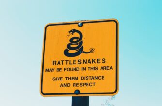klast na depozit bnb na coinbase staking