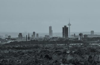 kripto city2