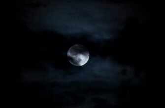 kriptovaljuta luna2