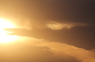 obmenjat sol za rubli cherez kivi v moskve