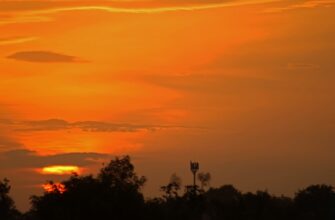 obmenjat sol za som nalichnymi v kazahstane dlja novichkov