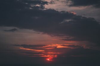 passivnyj dohod sol na beefy 2025