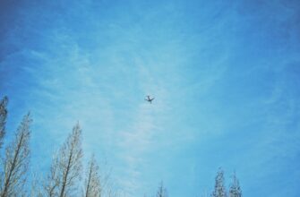 poluchit besplatno bitkoin airdrop na starknet bez vlozhenij