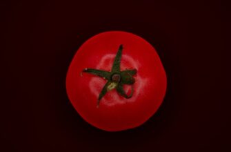 poluchit meme coin airdrop na arbitrum