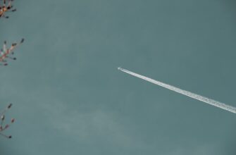 poluchit zk airdrop na starknet spisok 2025