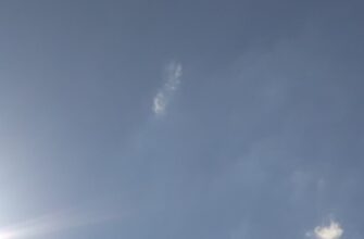 pretendovat sol airdrop na blast proverennyj