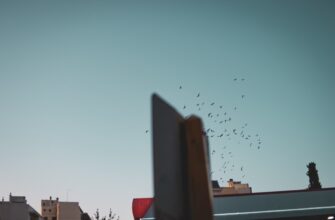 pretendovat sol airdrop na testnet bez komissii