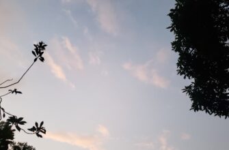 sobrat usdt airdrop na starknet dlja novichkov