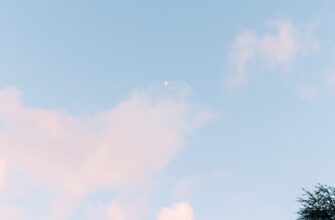 uchastvovat sol airdrop na bybit masshtabnyj
