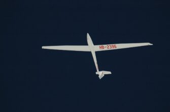 uchastvovat testnet token airdrop na bybit bez vlozhenij