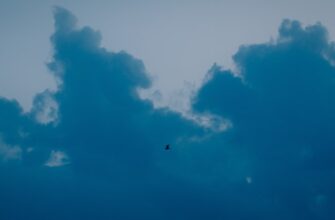 uchastvovat ton airdrop na binance bez komissii