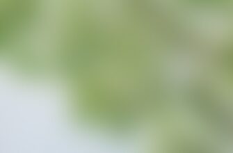 vyvod usdt s metamask4