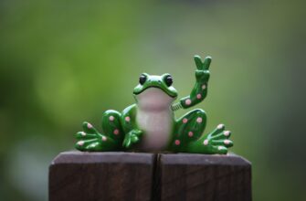 zabrat pepe airdrop na okx masshtabnyj