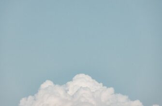 zabrat sol airdrop na testnet bez komissii