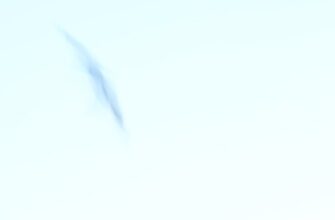 zabrat testnet token airdrop na arbitrum bez kyc