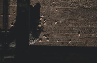 bezopasno li zashifrovat apparatnyj kosheljok bez interneta