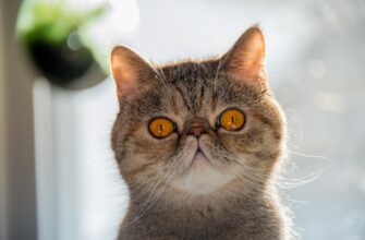bystro kupit ton za rubli nalichnymi v uzbekistane poshagovo