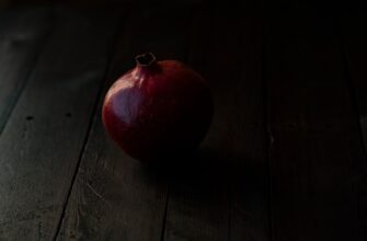 davat v lending usdc na pendle dlja novichkov