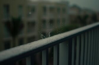 dej trejding sol na bybit nizkij risk