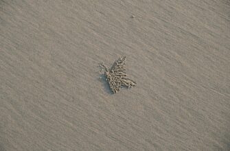 farmit dohod ada na kraken staking poshagovo