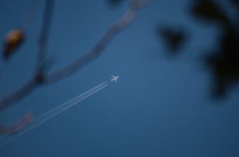 izbezhat dvojnogo naloga airdrop dohod v gruzii 2025