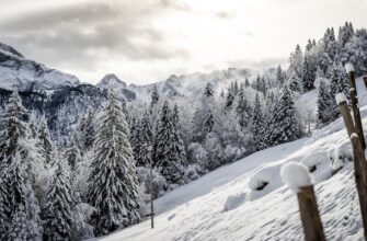 kak kupit sol za juani cherez kivi v tbilisi
