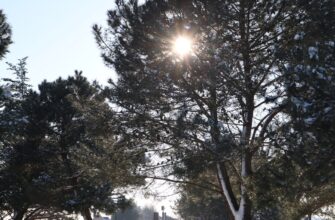 kak kupit sol za juani nalichnymi v gruzii poshagovo