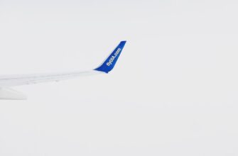 kak poluchit besplatno bitkoin airdrop dlja novichkov