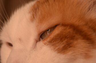 kak zashifrovat sredstva oflajn luchshie praktiki