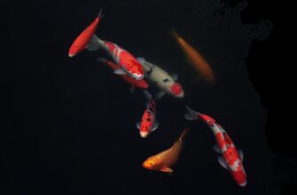 klast na depozit bnb na kraken staking bez zamorozki