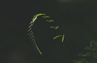 luchshij sposob zashhitit metamask oflajn