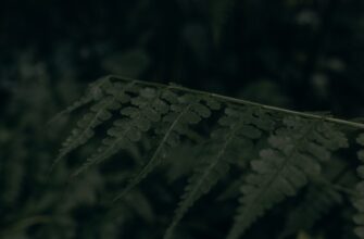 metamask bezopasno dlja novichkov