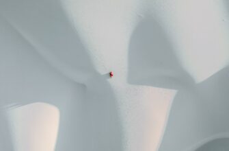 obmenjat jefirium za juani bankovskim perevodom v tashkente poshagovo
