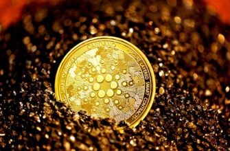 poluchit besplatno meme coin airdrop na polygon bez komissii