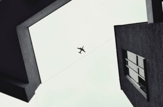 poluchit bitkoin airdrop na bybit poshagovo