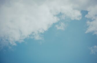 poluchit ton airdrop na testnet bez kyc