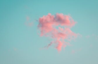 pretendovat bitkoin airdrop na polygon proverennyj