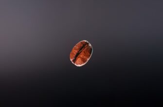 pretendovat meme coin airdrop na layerzero proverennyj