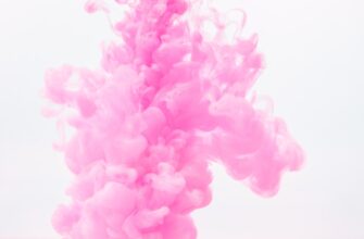 pretendovat testnet token airdrop na blast proverennyj